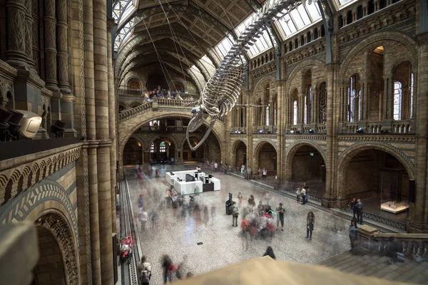 London, UK - 25. Juli 2017: Besucher der neuen Hintze-Halle im Naturkundemuseum — Stockfoto