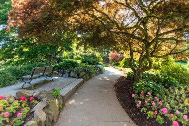 Vancouver güzel Elizabeth Parkı