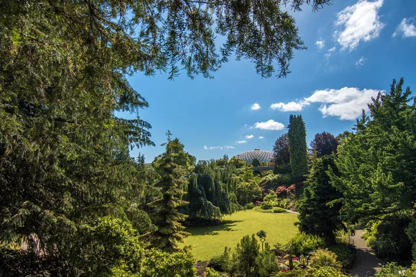 Krásná Elizabeth park ve Vancouveru — Stock fotografie