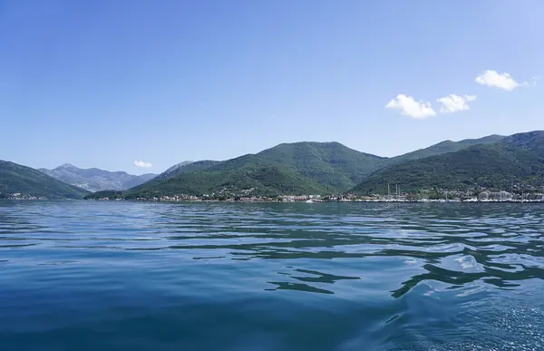 Bokakotorska Bay Deniz Yat orman ve dağlar