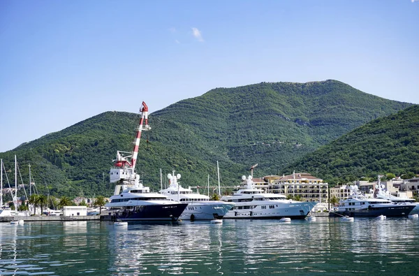 Bokakotorska Bay Deniz Yat orman — Stok fotoğraf