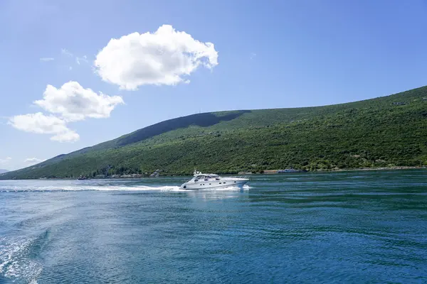 Bokakotorska Bay deniz tekne orman ve dağlar