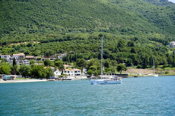 Bokakotorska Bay deniz tekne orman