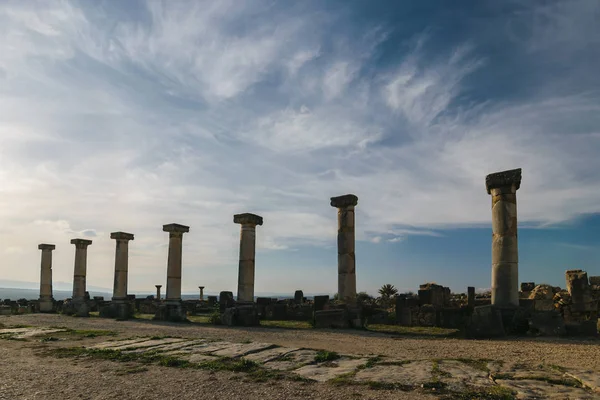 Volubilis yedi sütun, Fas