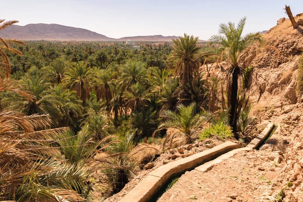Vista panorámica sobre oasis de palmeras datileras, Figuig, Marruecos — Foto de Stock