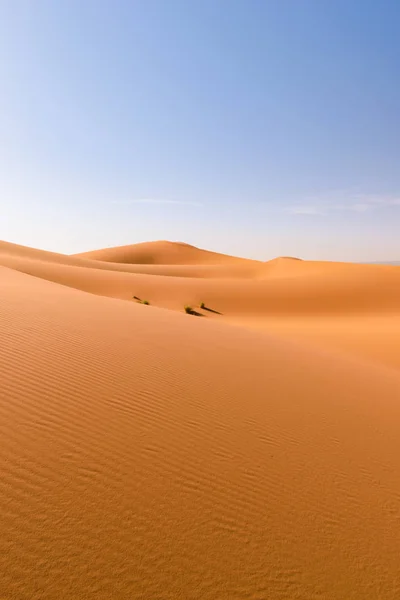 Sahara Erg Chebbi dunes, Merzouga, Morocco — Zdjęcie stockowe