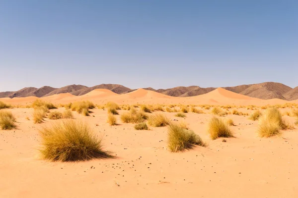 Dune di sabbia Ouzina, deserto di Shara, Marocco — Foto Stock