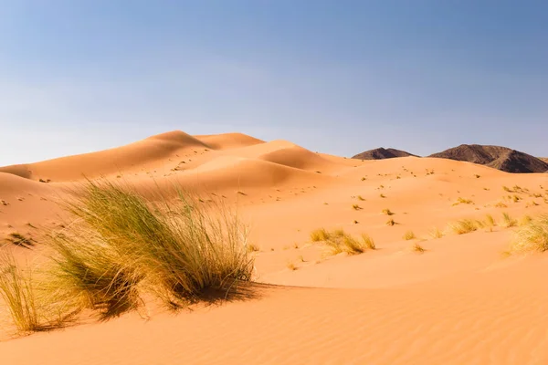 Песчаные дюны Ouzina, Shara desert, Morocco — стоковое фото