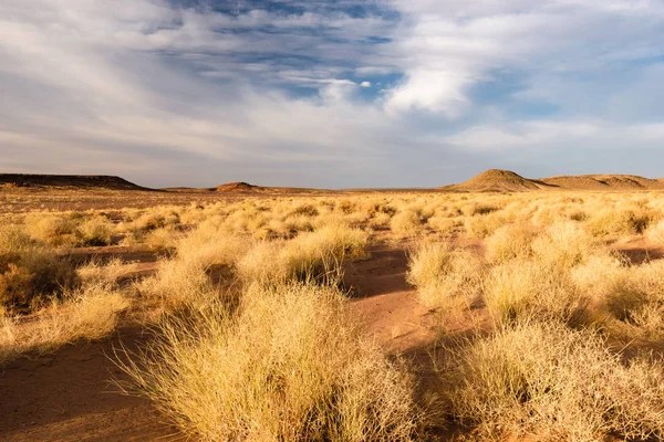 Zagora, Morocco manzara