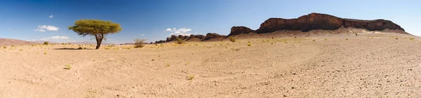 Bir ağaç ve dağların manzarası, Sahra, Fas