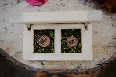 Meşe palamudu ile mezarda alyans. Düğün töreni. SiO