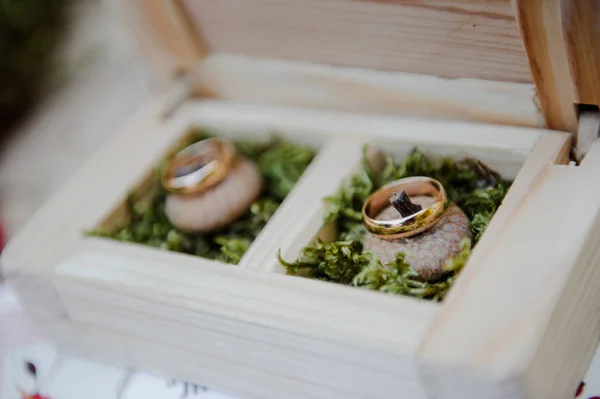 Obrączki w drewnianym pudełku z żołędziami. Ceremonii ślubnej. Rin — Zdjęcie stockowe