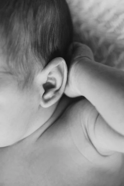 Ucho dítěte. Dítě drží ruku blízko hlavy. Černá — Stock fotografie