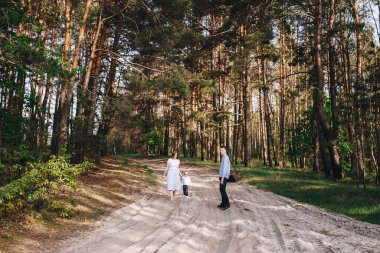 Aile ormanda bir pikniğe gidiyor. Anne, baba, oğul. Yaz yürüyüşü. Piknik seti. Köpek. Gözlüklü çocuk. Mavi kıyafetler. Güzel aile..