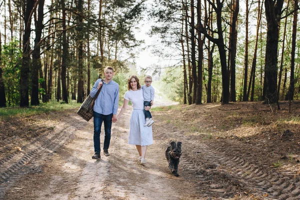 The family is going on a picnic in the forest. Mom, dad, son. Summer walk. Picnic set. Dog. The kid with glasses. Blue clothes. Beautiful family.