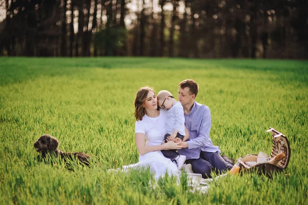 Familia Picnic Bosque Prado Cesta Picnic Con Comida Perro Corre — Foto de Stock