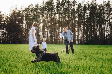 Ormanda piknikte bir aile. Açık bir alanda, yeşil çimlerde oturmak. Mavi kıyafetler. Anne ve baba oğullarıyla oynar, sarılır ve gülümserler. Gözlüklü bir çocuk. Birlikte piknik sepeti ve yiyecek zamanı. Evcil köpek..