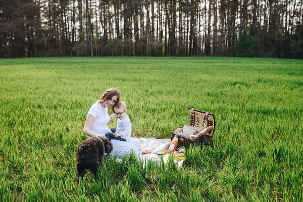 Family Forest Picnic Sit Clearing Green Grass Blue Clothes Mom — Stock Photo, Image