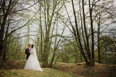 Düğün baharda. Damat gelini öper ve kucaklar. Beyaz elbise. Pembe bir buket.