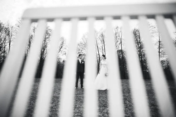 春天的婚礼 新娘和新郎通过椅子的原始照片 黑白照片 — 图库照片