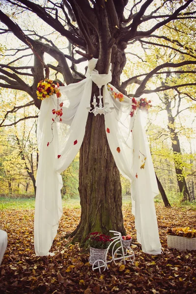 Γάμος Στο Δάσος Τελετή Του Φθινοπώρου — Φωτογραφία Αρχείου
