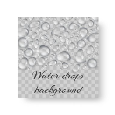 Çiğ damlaları ile gösteren resim