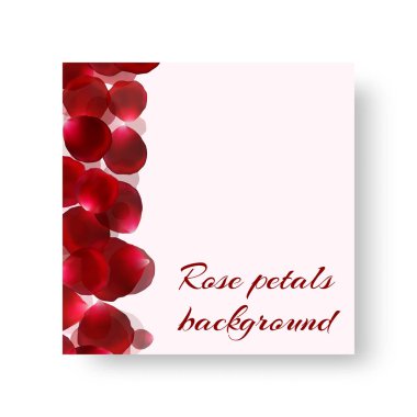 Gül yaprakları katalogla kapak