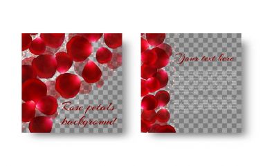 Arka plan kırmızı gül yaprakları ile