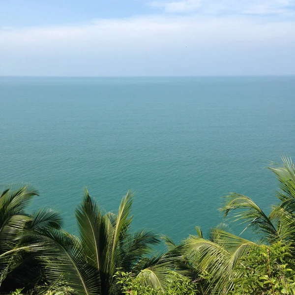 Vista Mar Palmeiras Goa — Fotografia de Stock
