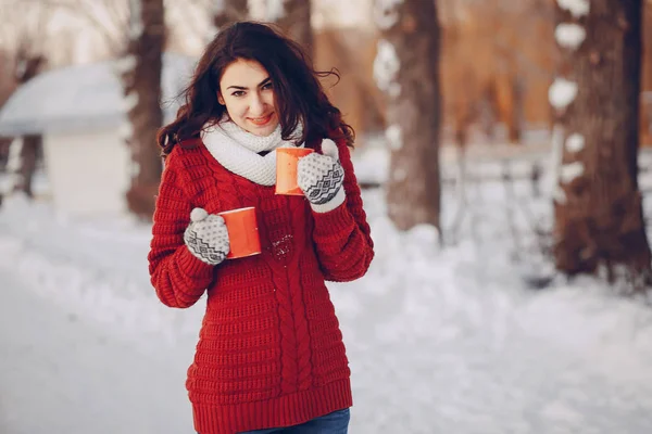 カップルの愛の雪と寒さ — ストック写真
