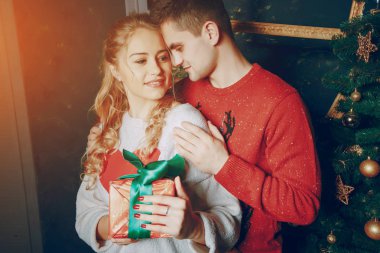 sevgi dolu çift Noel ağacı süsleme