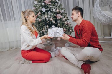 sevgi dolu çift Noel ağacı süsleme