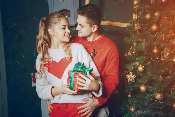 sevgi dolu çift Noel ağacı süsleme