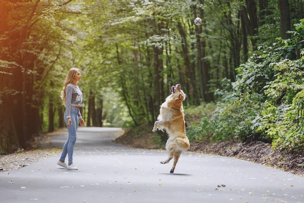 Paar geht mit Hund im Freien spazieren — Stockfoto