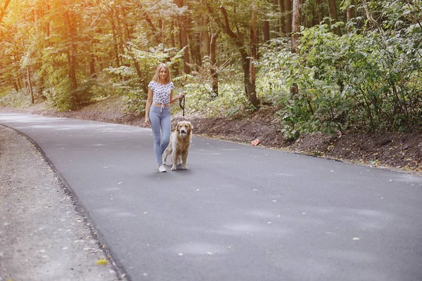 Paar geht mit Hund im Freien spazieren — Stockfoto