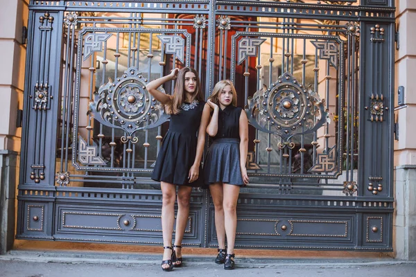 Két lány Hd — Stock Fotó