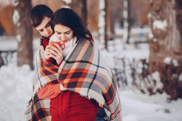 Пара любить сніг і холод — стокове фото