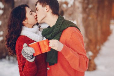 karlı parkta eğleniyor aşık Çift