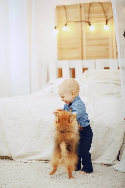 개를 키우는 소년 — 스톡 사진