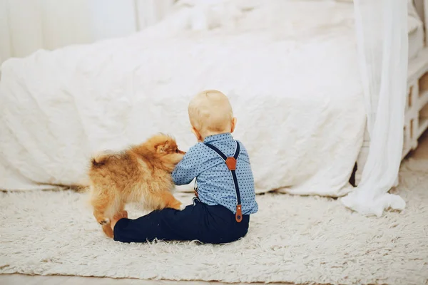 Pojke med hund — Stockfoto