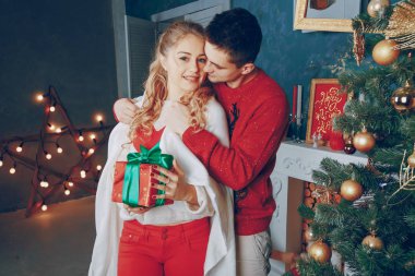 seven çift Noel ağacı süsleme