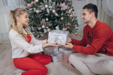 seven çift Noel ağacı süsleme