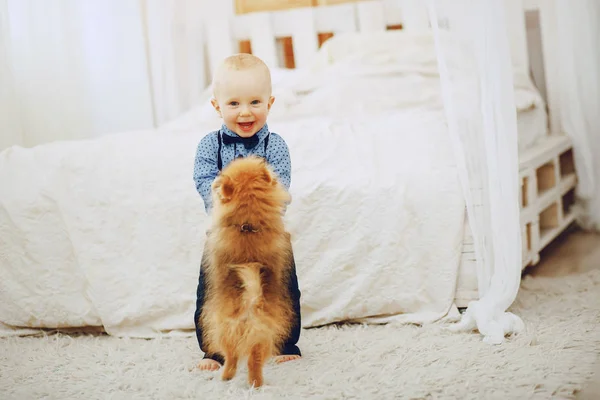 Menino com cão — Fotografia de Stock