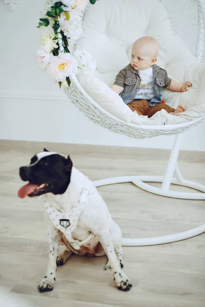 Menino com cão — Fotografia de Stock