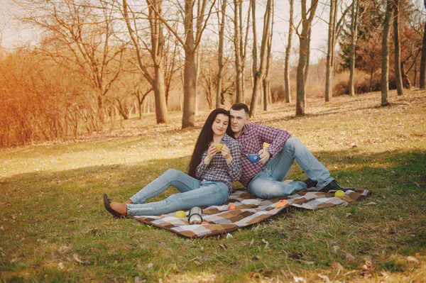 Par på picknick — Stockfoto