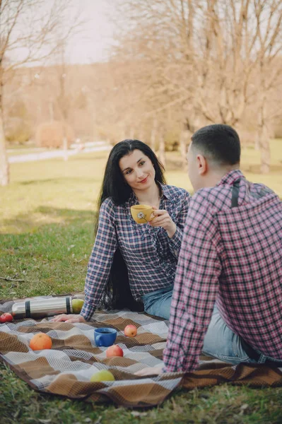 Par på picknick — Stockfoto