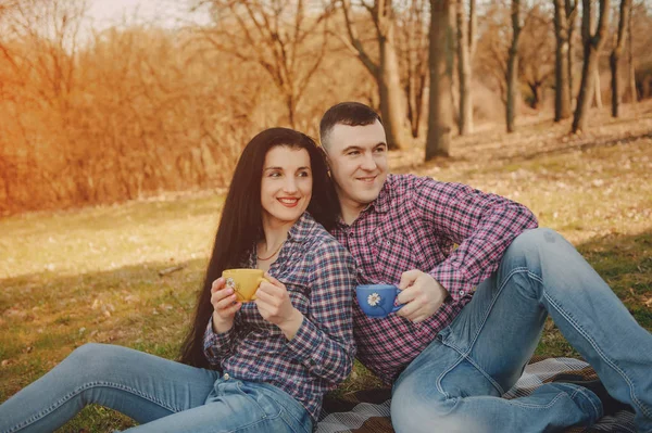 Casal em um piquenique — Fotografia de Stock