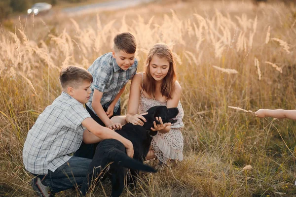 Barnen i ett fält — Stockfoto