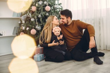 Aile Noel ağacının yanında oturuyor.