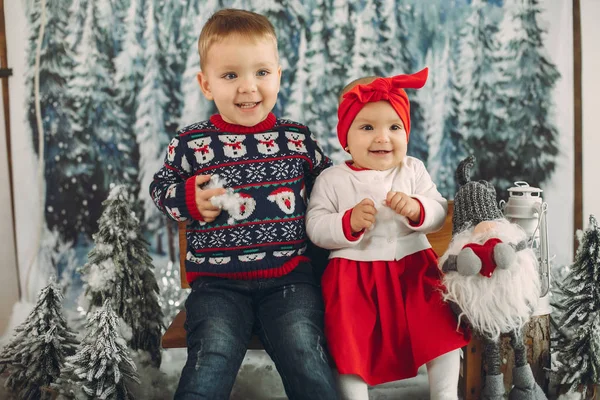 Dwoje uroczych dzieci siedzi w świątecznych dekoracjach — Zdjęcie stockowe